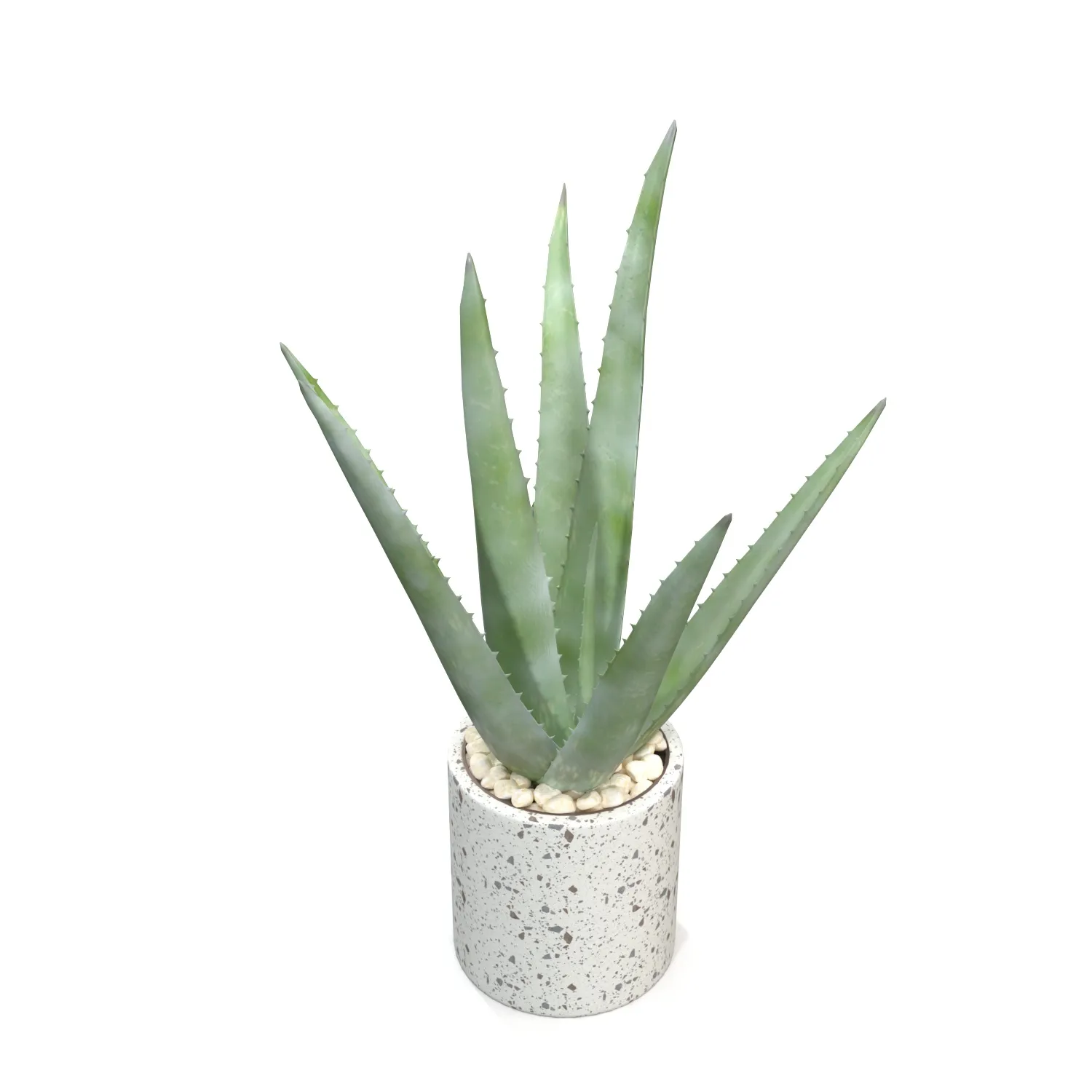 Healthy Aloe Vera Plant In Ceramic Vase PBR 3D Model_04
